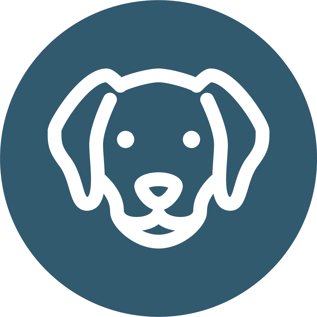 Your Pets Matter Too Pet Sitting Dog Walking Northwest Phoenix