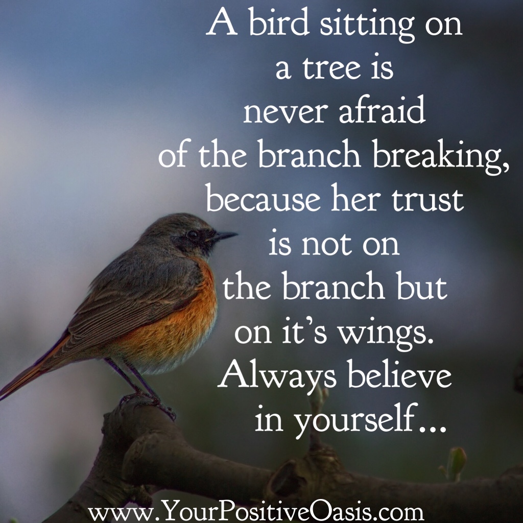 27 Positive Quotes That Will Brighten Up Your Day