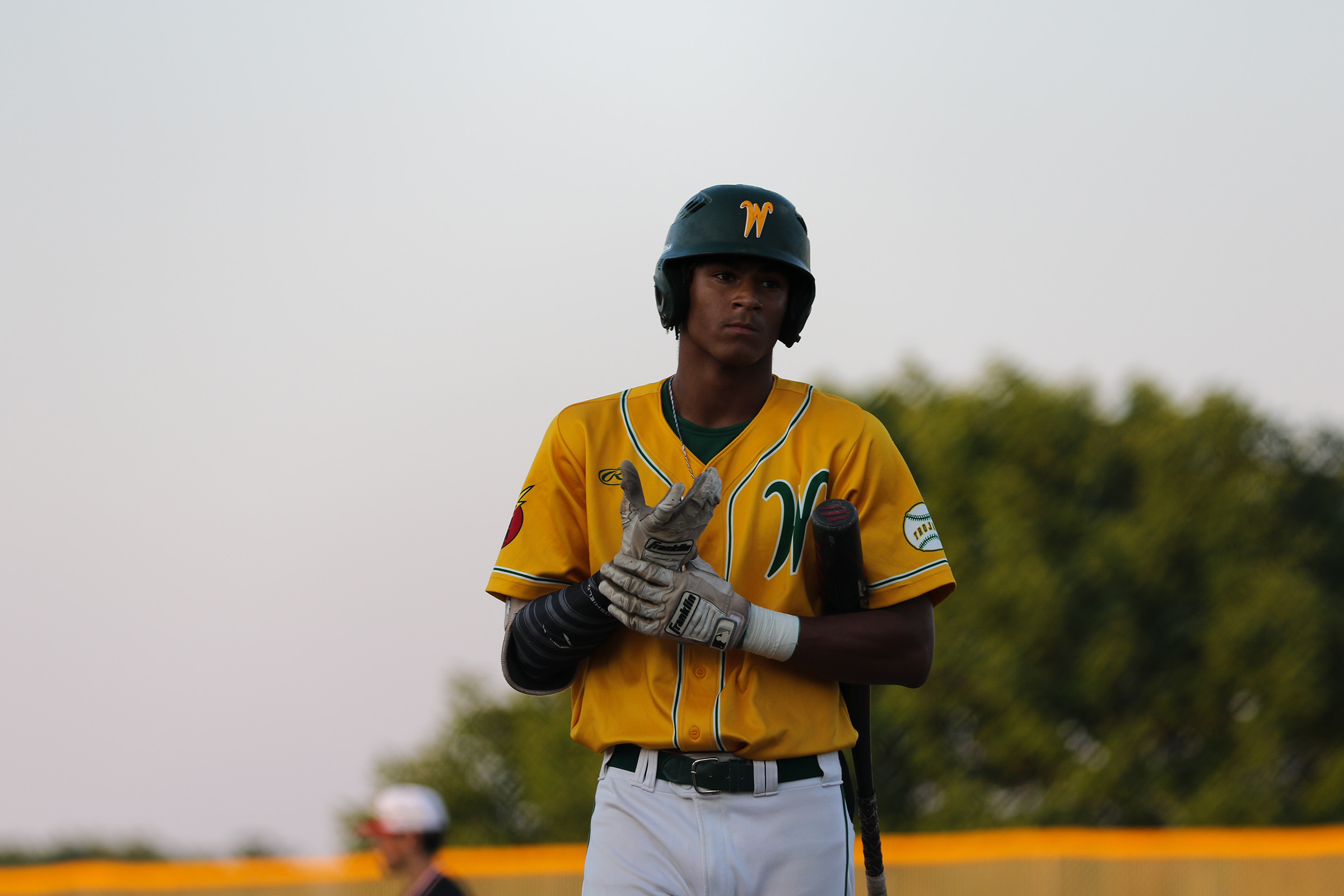 Pitching, Freidhof Homer Lifts West High Past Waterloo West in