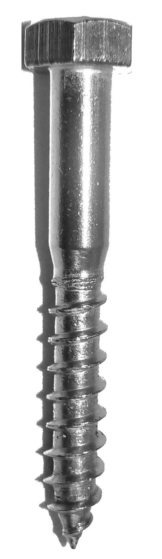 M10 x 100mm, Coach Screw, Stainless Grade 316, Each Price Your