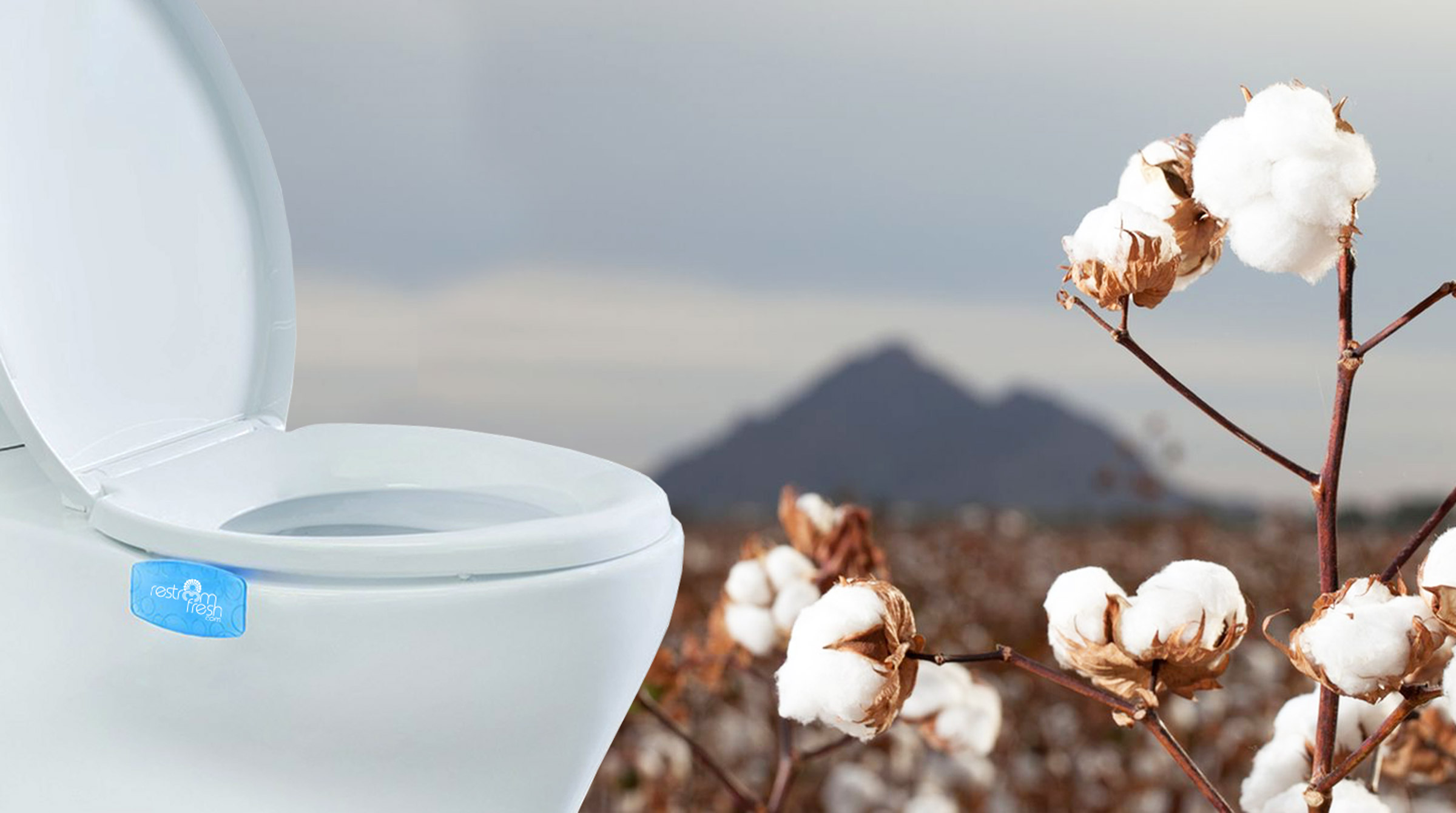 Toilet Seat Air Freshener Clip