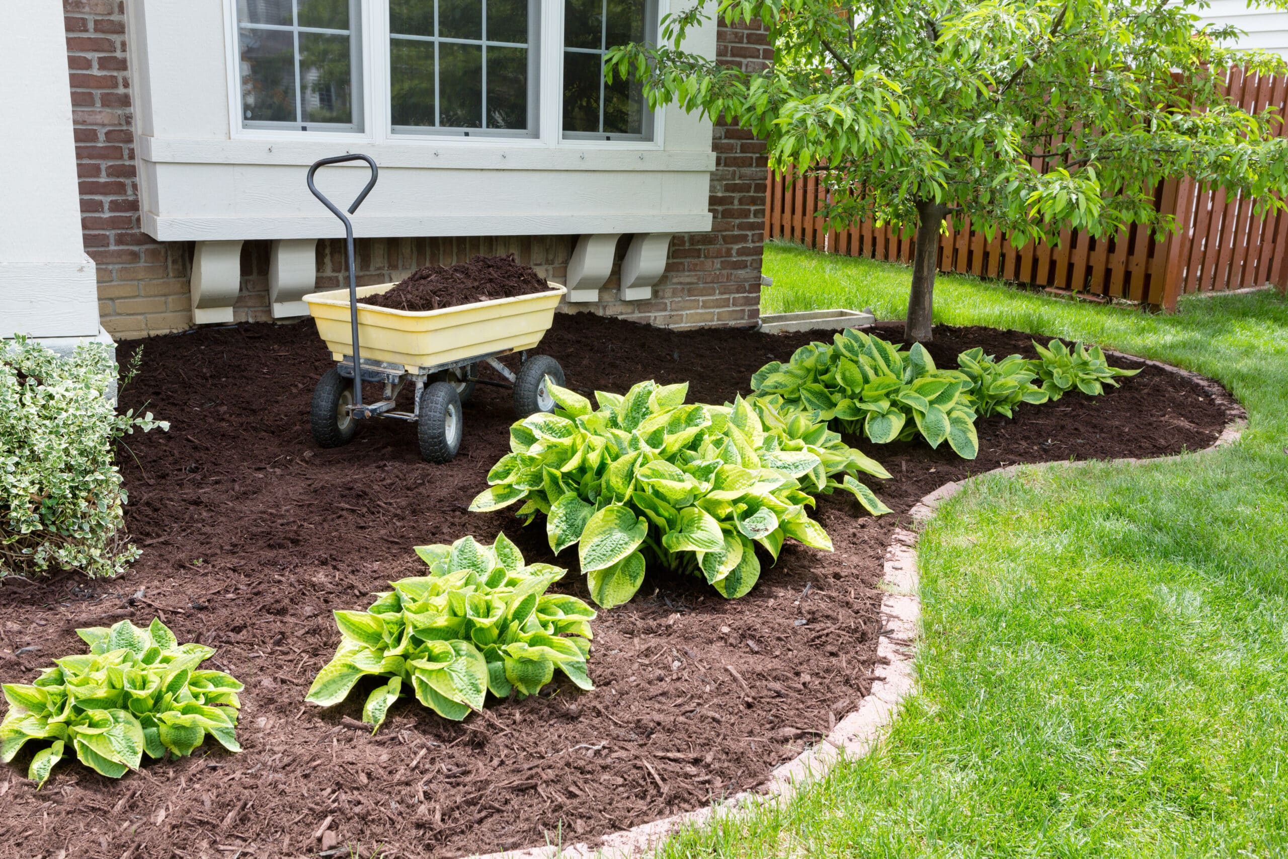 Landscaping Dilemma Mulch Versus Rock RHI