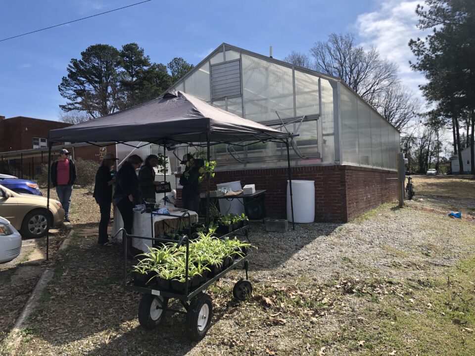 Happy Roots A Tale of Grassroots Agriculture Live Original
