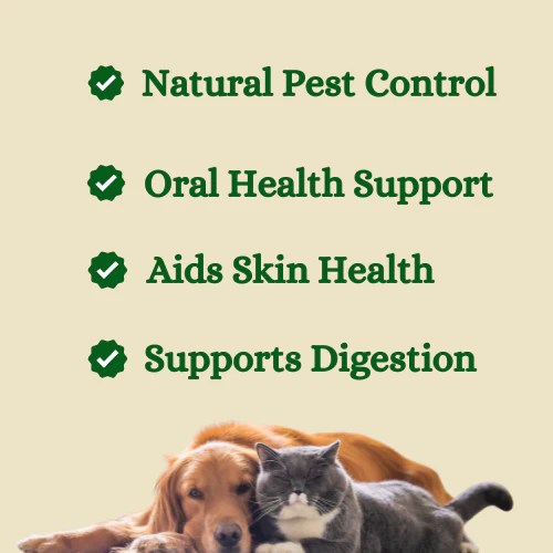 Diatomaceous Earth for Dogs & Cats Detox, Parasite Defense Your Signature Supplements