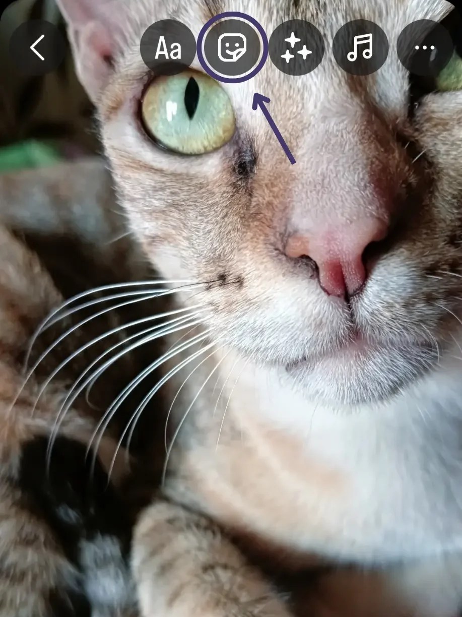 How To Share YouTube Video On Instagram Story [with Pro Tips]