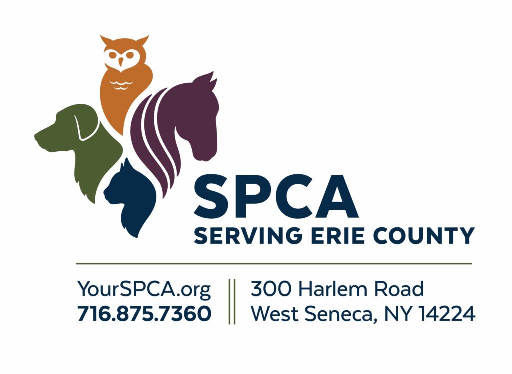 SPCA LOGO Color Horizontal WS Address Dog, Cat, Pet