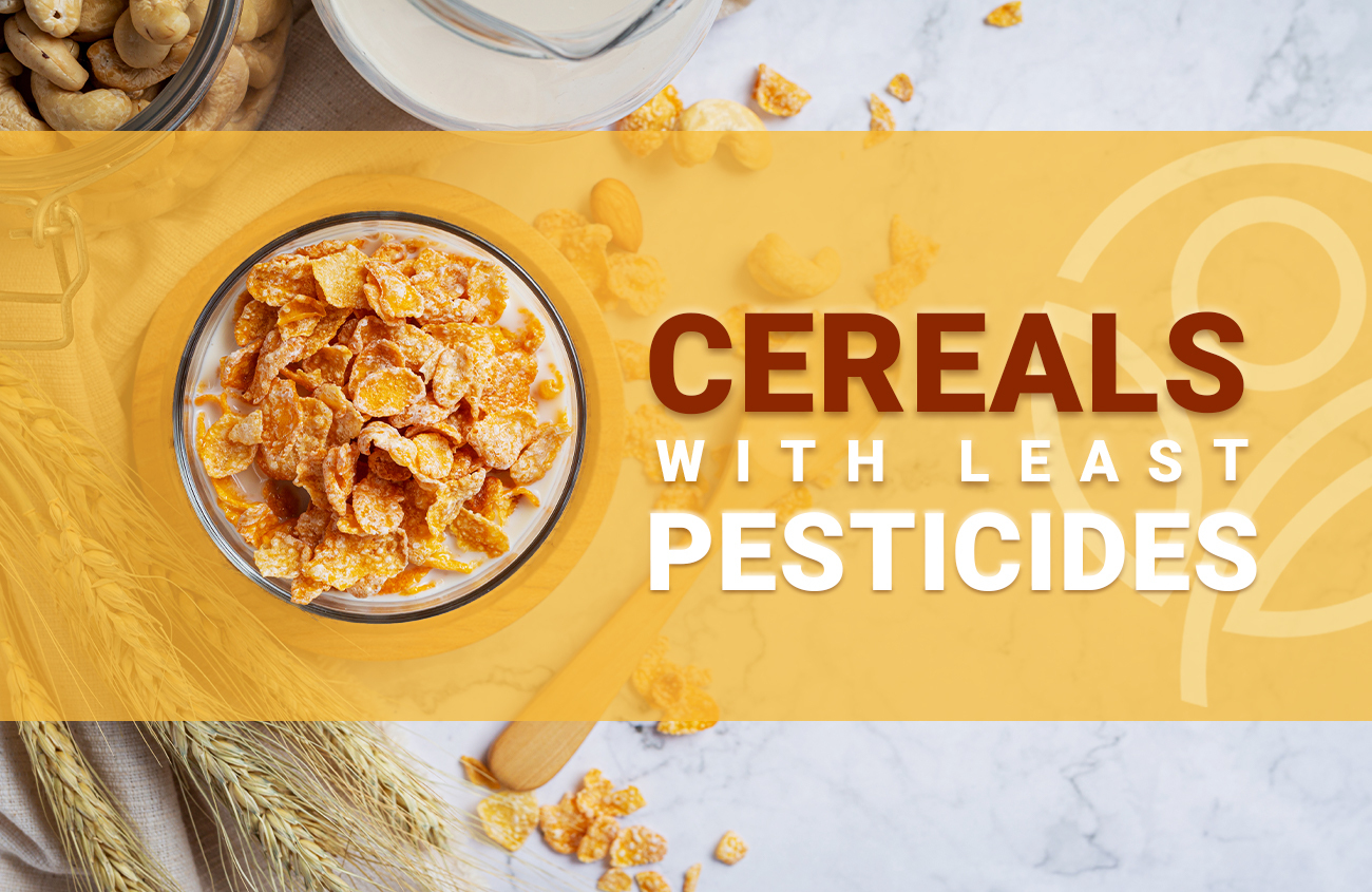 10 Glyphosate Free Oatmeal Brands That are Safe