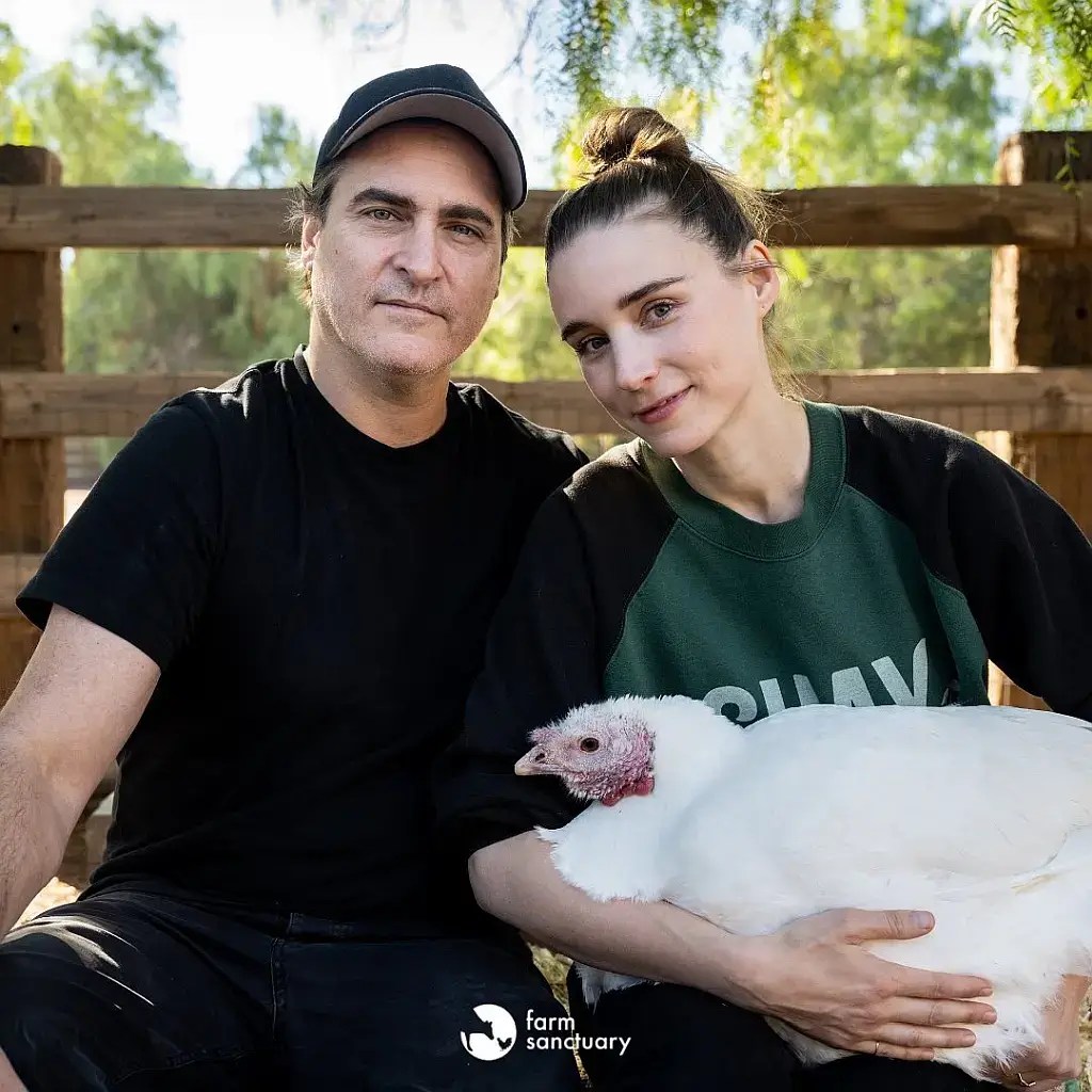 Celebrities Encourage to Adopt a Turkey, Rather Than Eat One for a