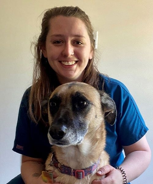 Greenville, NC 27834 Veterinarians Trinity Veterinary Hospital