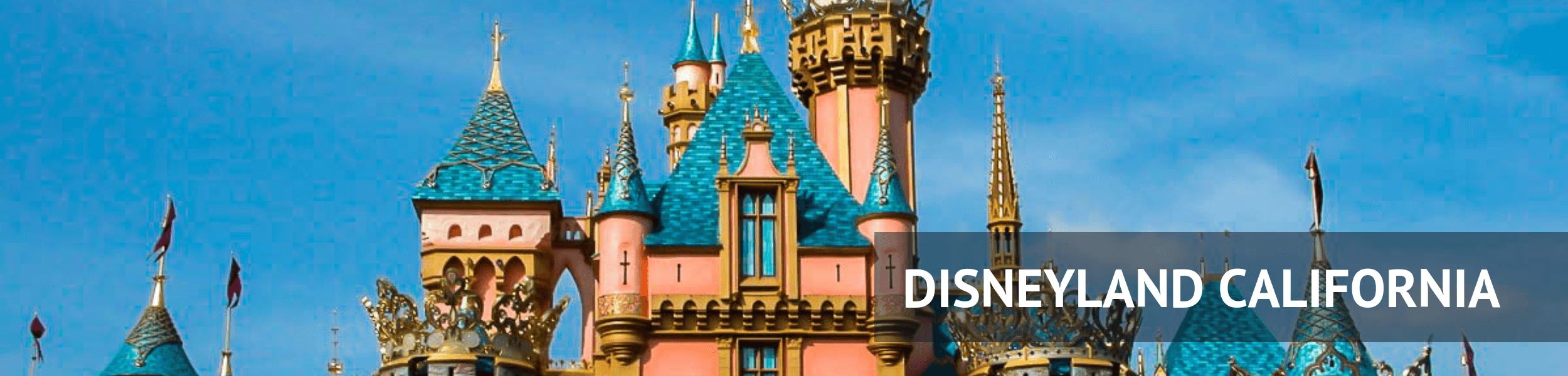 Disneyland California Guide Ultimate Guide to Visiting Disneyland