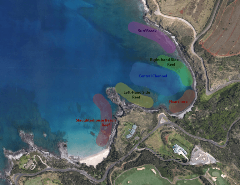 Honolua Bay Snorkeling, Maui The Best Snorkeling Spot in Maui?