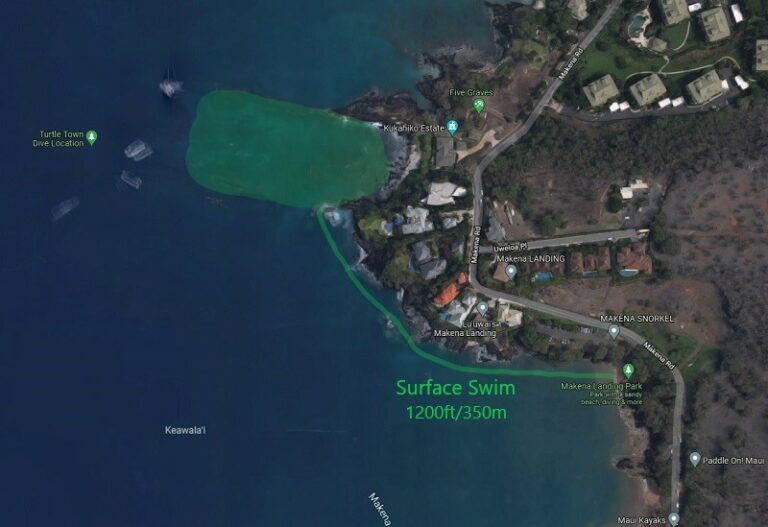 Turtle_Town Your USA City Guide