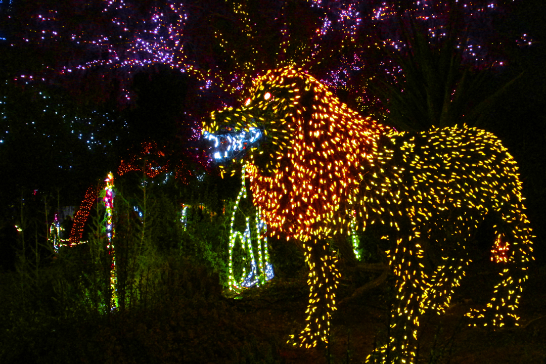 the-25th-annual-phoenix-zoolights-it-s-amazing-and-we-thank-you