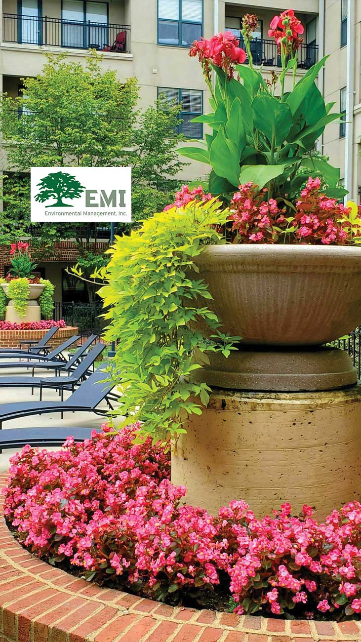 EMI Landscape Your ster