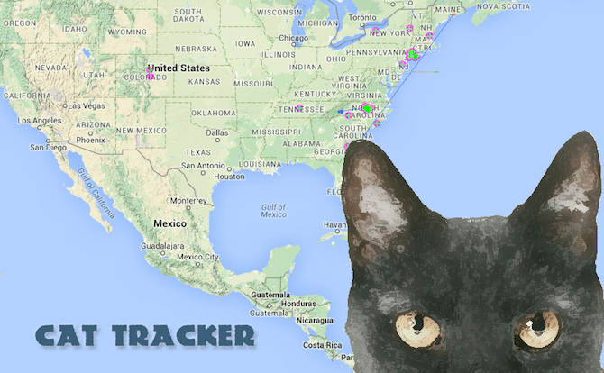 New Year, New Updates from Cat Tracker – Your Wild Life