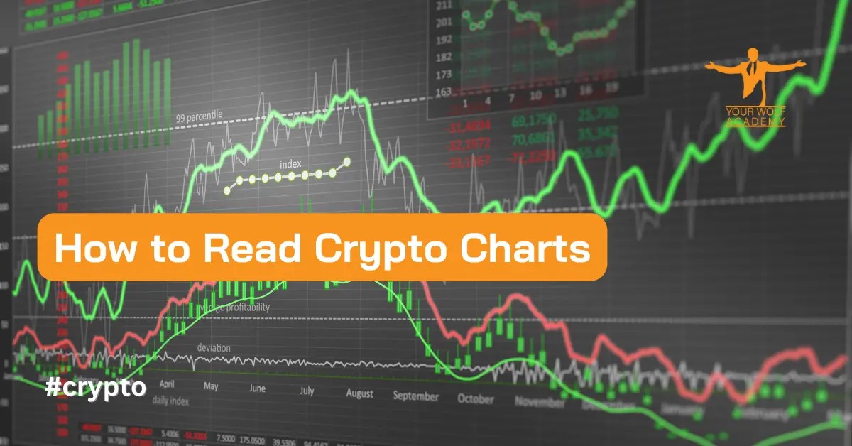 How to Read Crypto Charts A Comprehensive Guide for Beginners