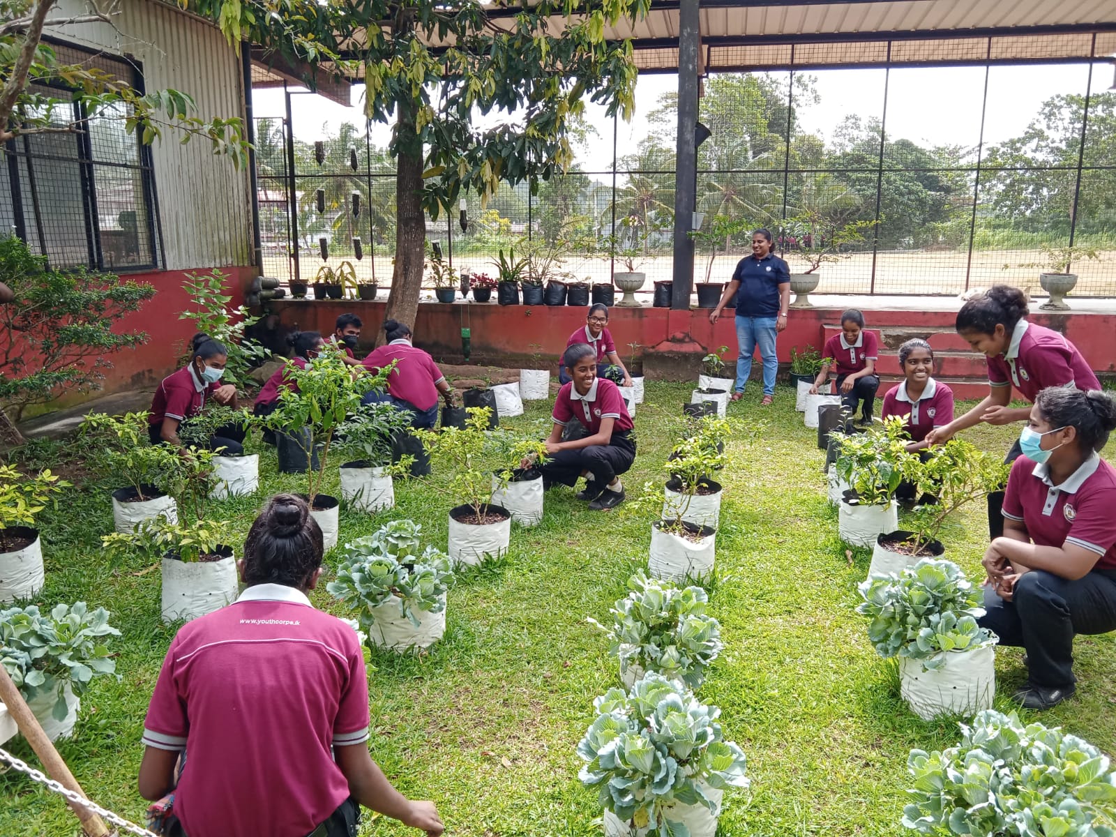 Image Gallery National Youth Corps