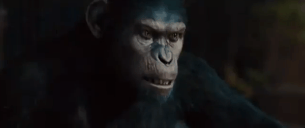 The Planet Of The Apes The Mad Movie Ranter