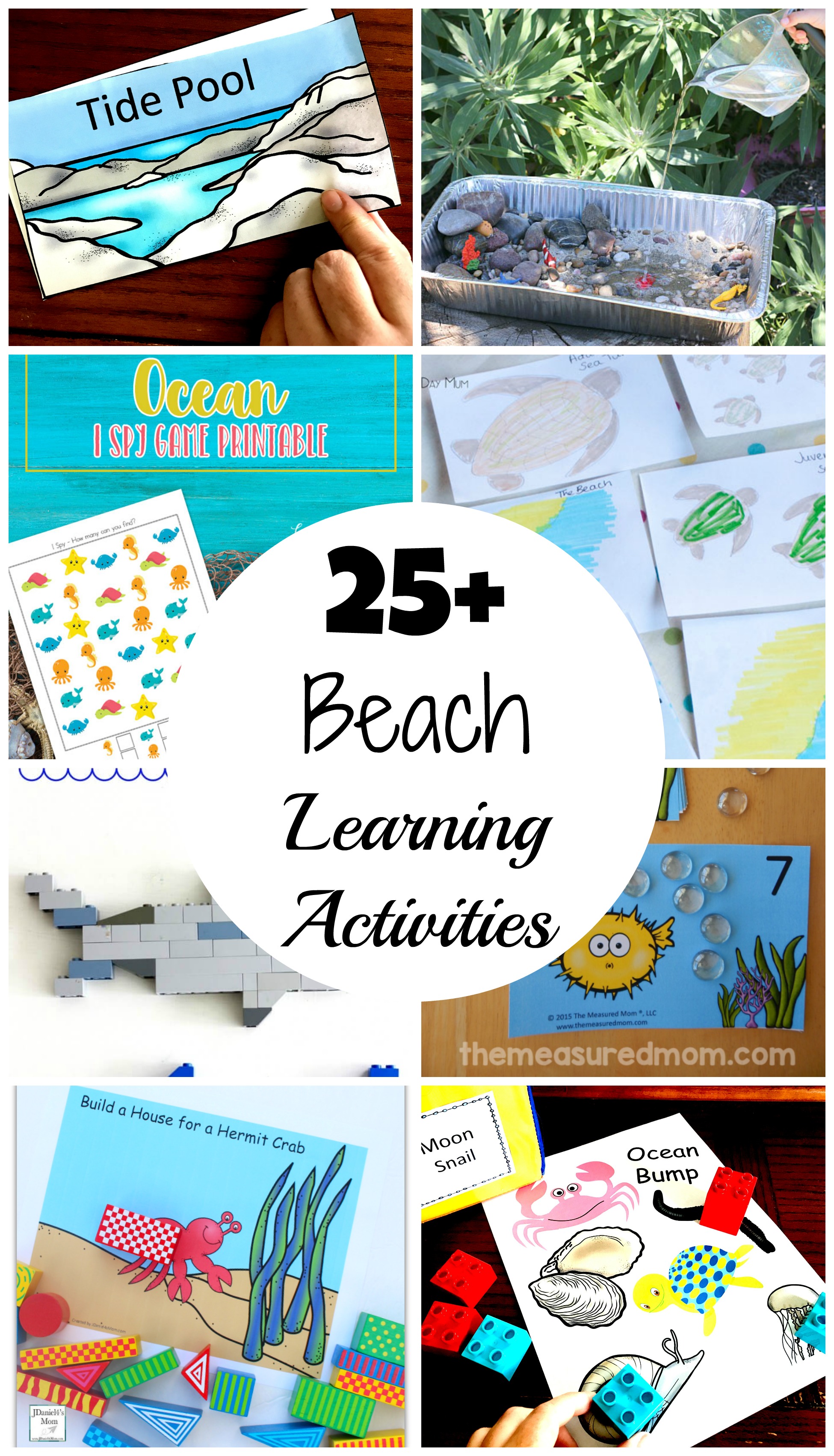 25+ Beach Learning Activities to Build Background Knowledge Before Your