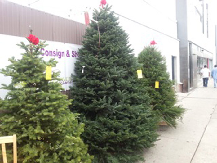 Delancey St. Foundation returns Monday to Venice to sell Christmas