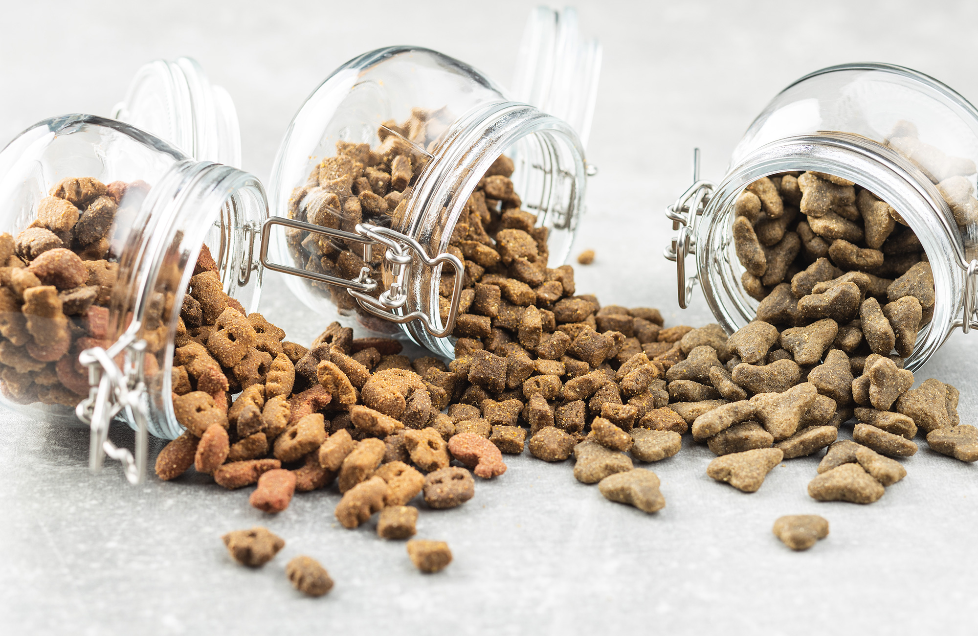 JOCK Dog Food Vs. Montego YoyiPet