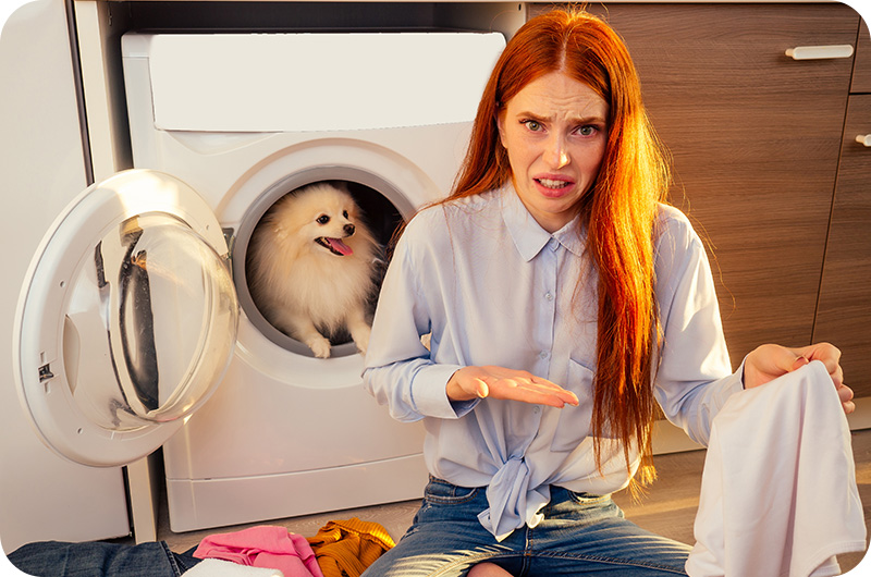 Why Does Dog Pee Smell Like Fish? YoyiPet