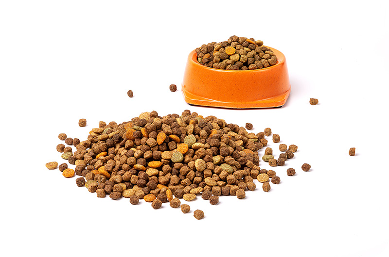 Top Breed Dog Food Vs. Vitality ProPetsPassion