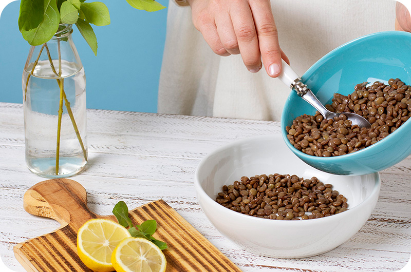 How To Crush Dog Kibble ？ YoyiPet