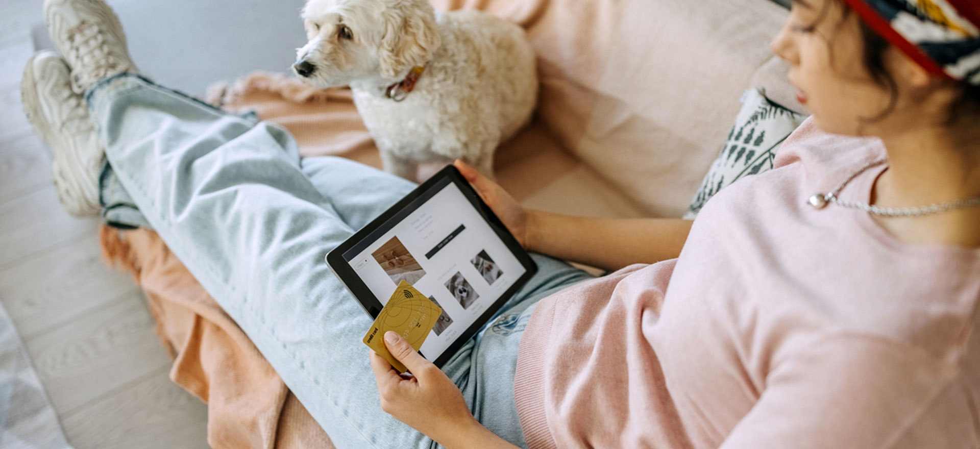 Online pet shops UK Explorer