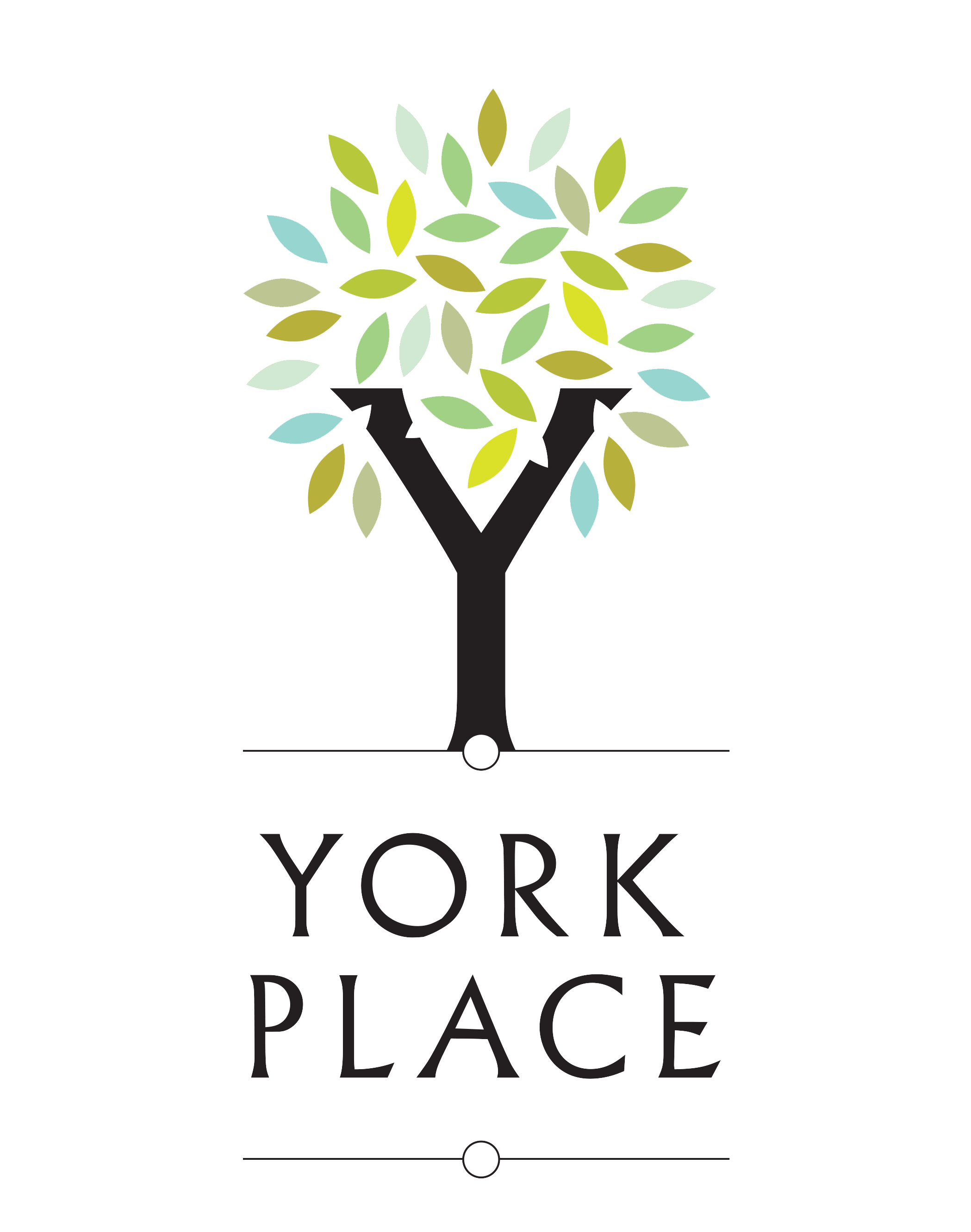 York Place Dental Practice Wetherby Dentist