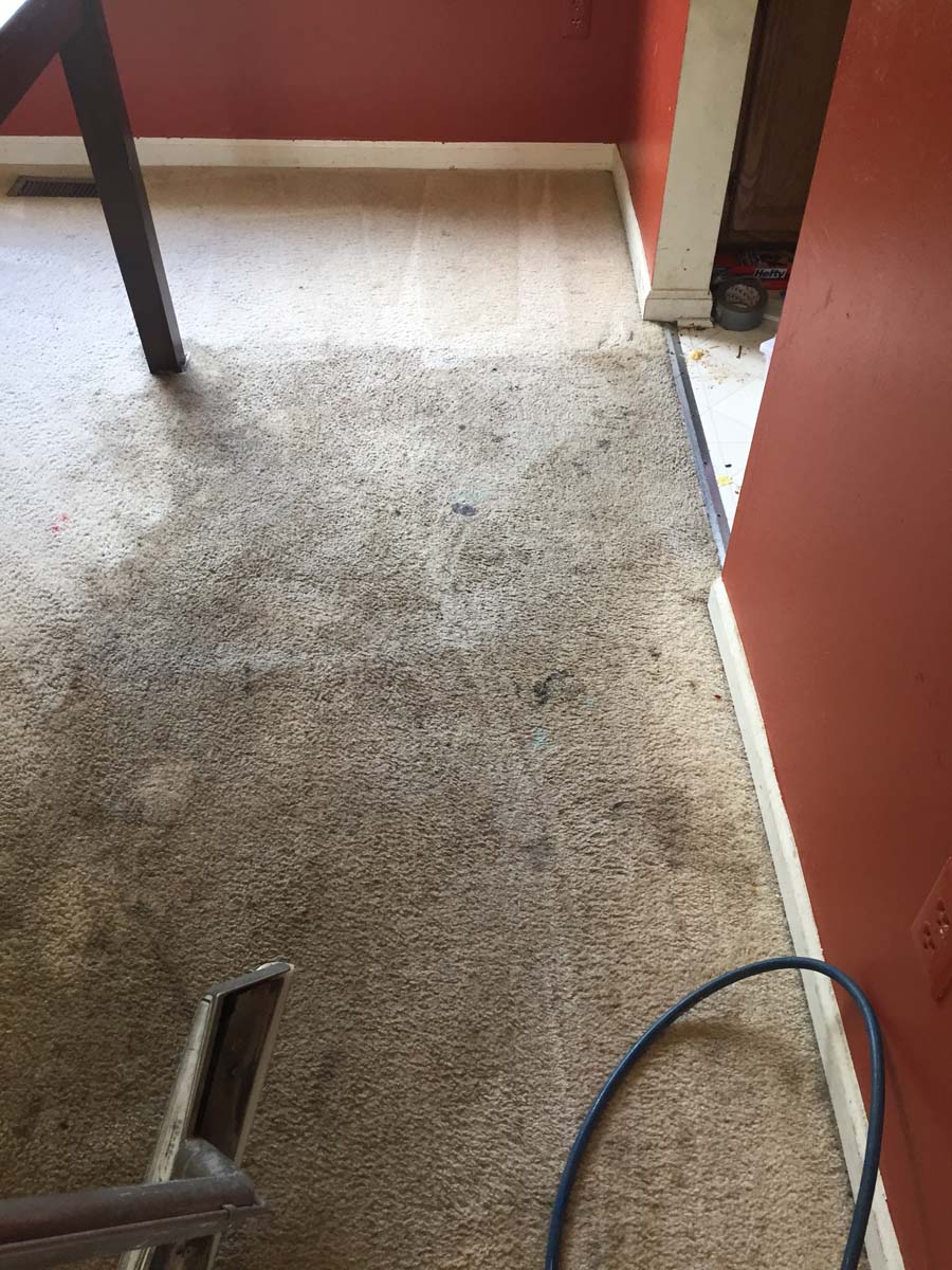 Gallery Classic Carpet Care, Inc.