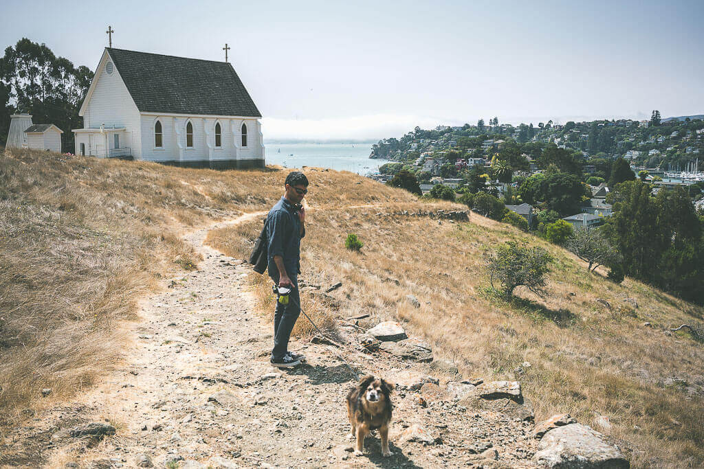 Dog friendly hikes in Marin a spectacular trail in Tiburon with dogs