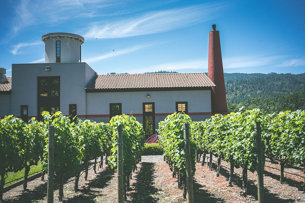 Explore dog friendly Calistoga Napa Valley's underrated gem