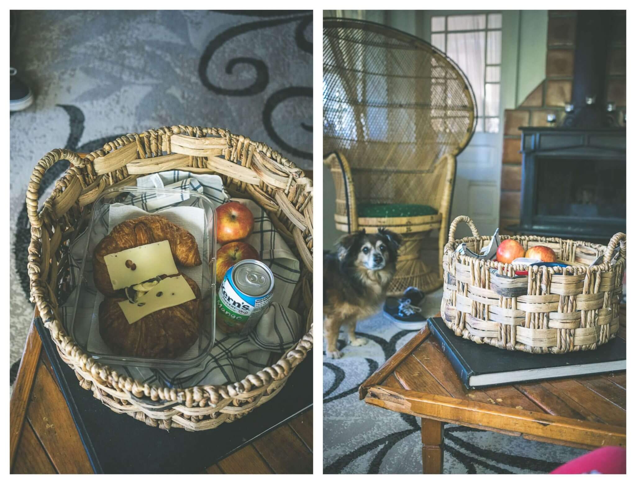 Explore dog friendly Calistoga Napa Valley's underrated gem