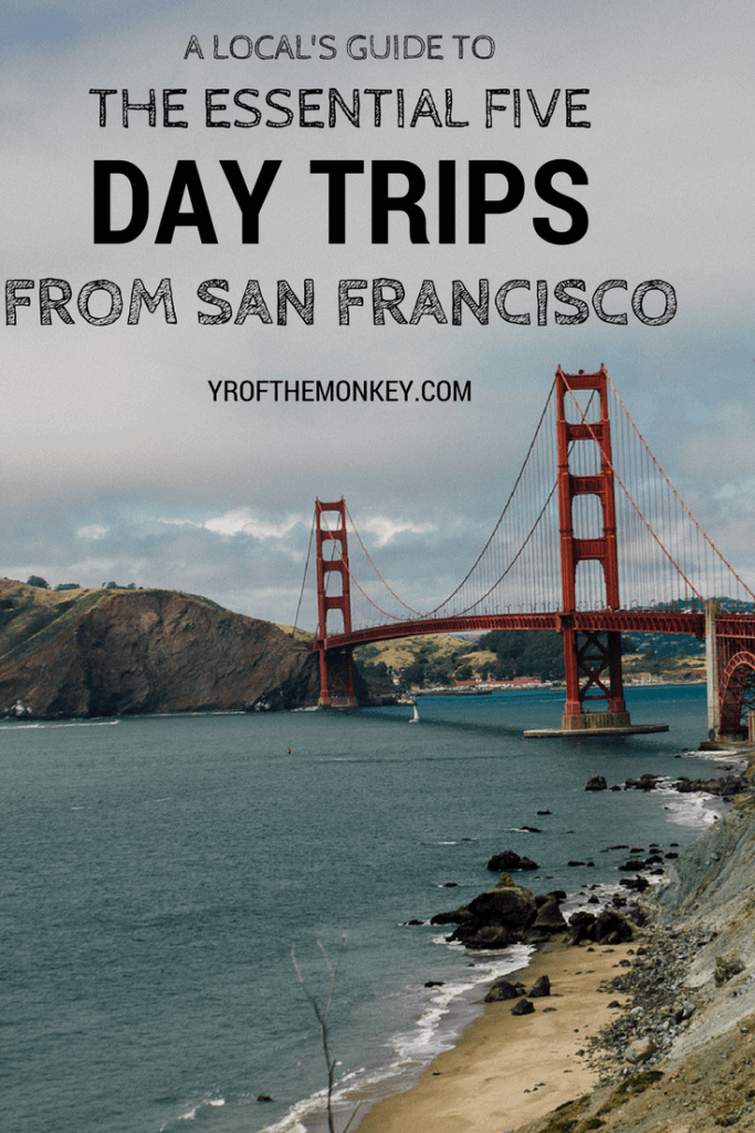Will have a couple of days after the game for sight seeing and i wanted recommendations on places to go. Bay Area day trips The best dog friendly weekend trips by a local