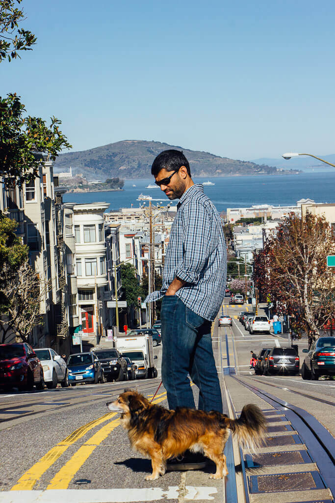 Dog friendly San Francisco the ultimate guide by a resident dog mom