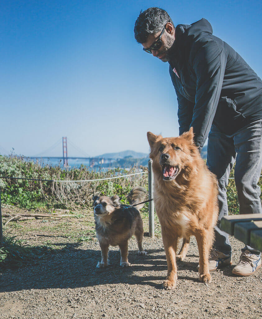 Best hikes in San Francisco Top 12 San Francisco hiking trails to explore
