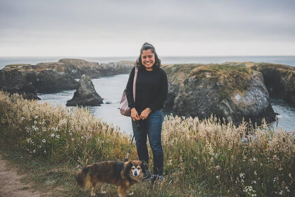 Dog friendly Mendocino Best things to do with your dog in Mendocino