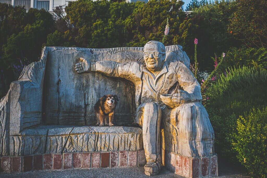 Dog friendly Mendocino Best things to do with your dog in Mendocino