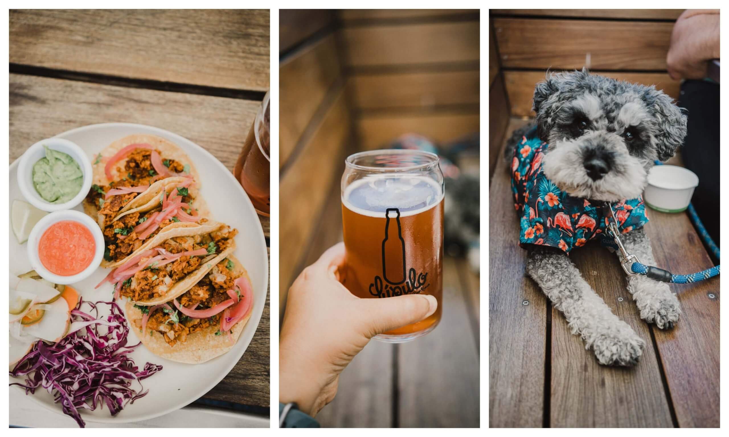 Dog friendly restaurants in Santa Cruz, California The Ultimate Guide