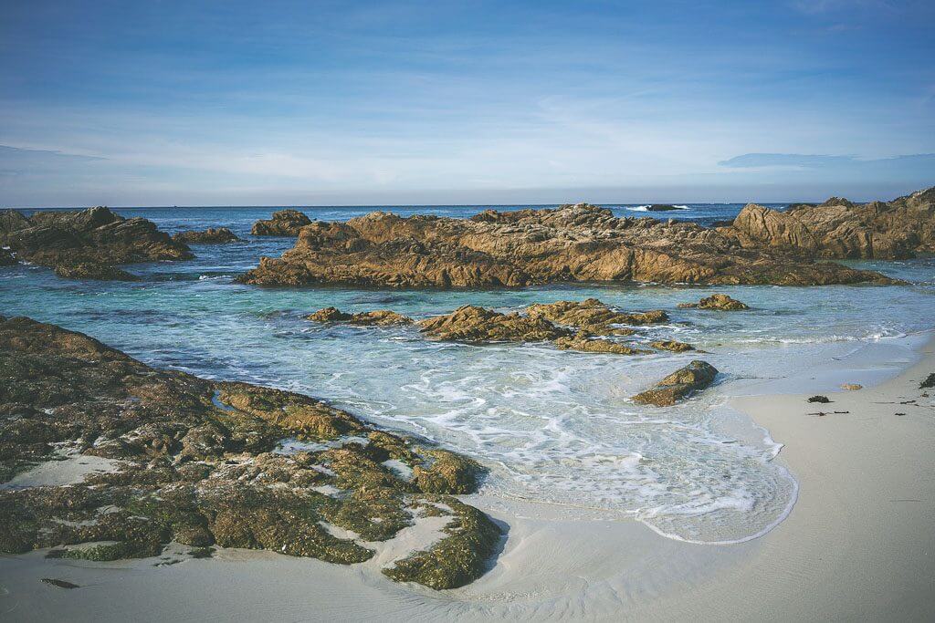 Dog Friendly Carmel How to enjoy Carmel with a dog