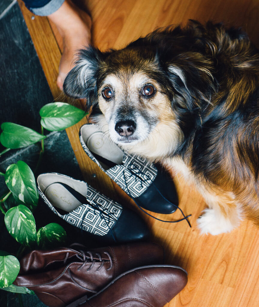 Is Elemental Pick Cruelty-Free? PETA