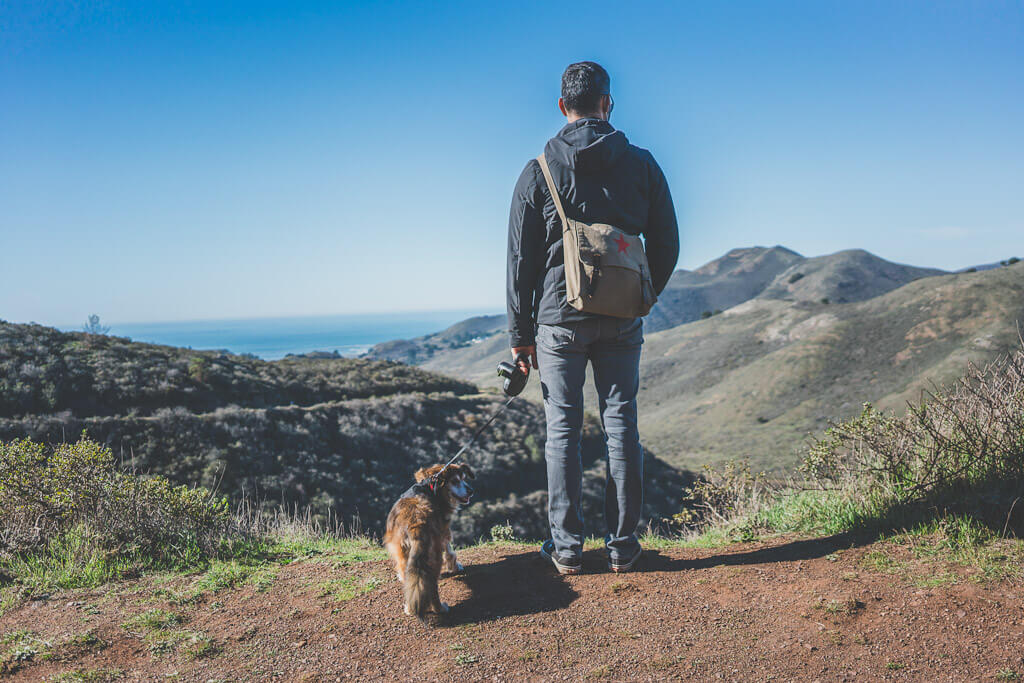 30+ Best dog friendly hikes in Bay Area A local's tried and tested guide