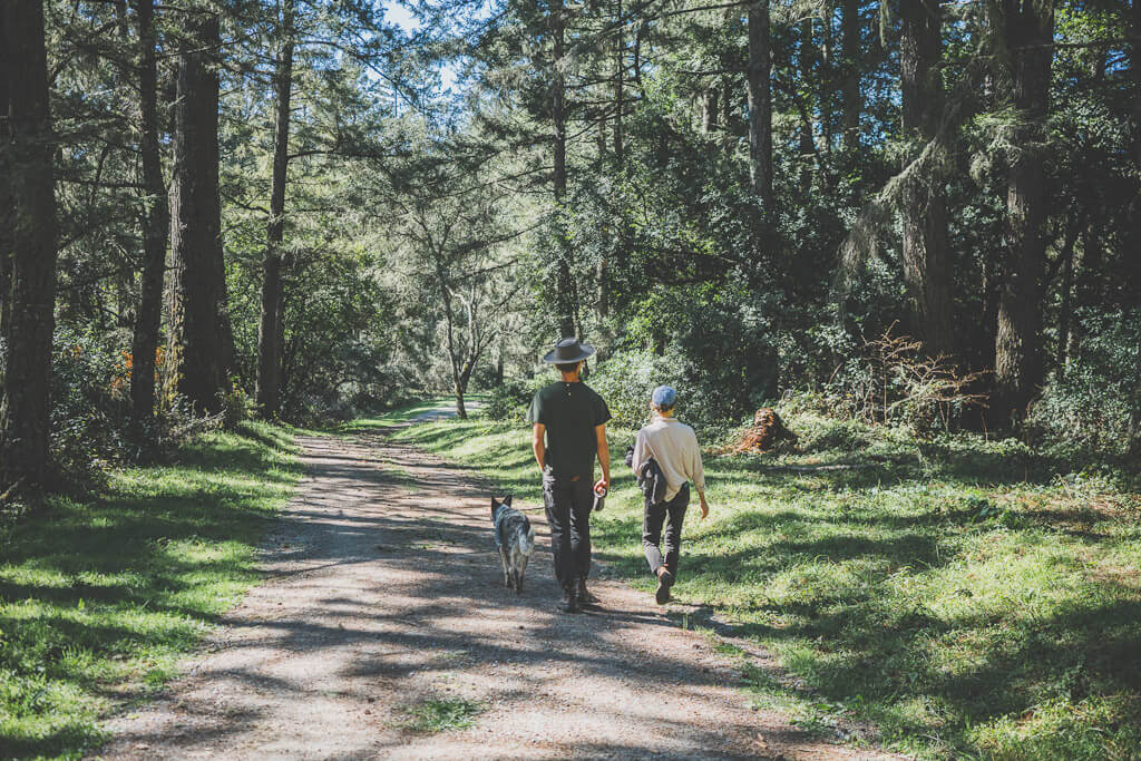 40+ Best dog friendly hikes in Bay Area A local dog mom's guide
