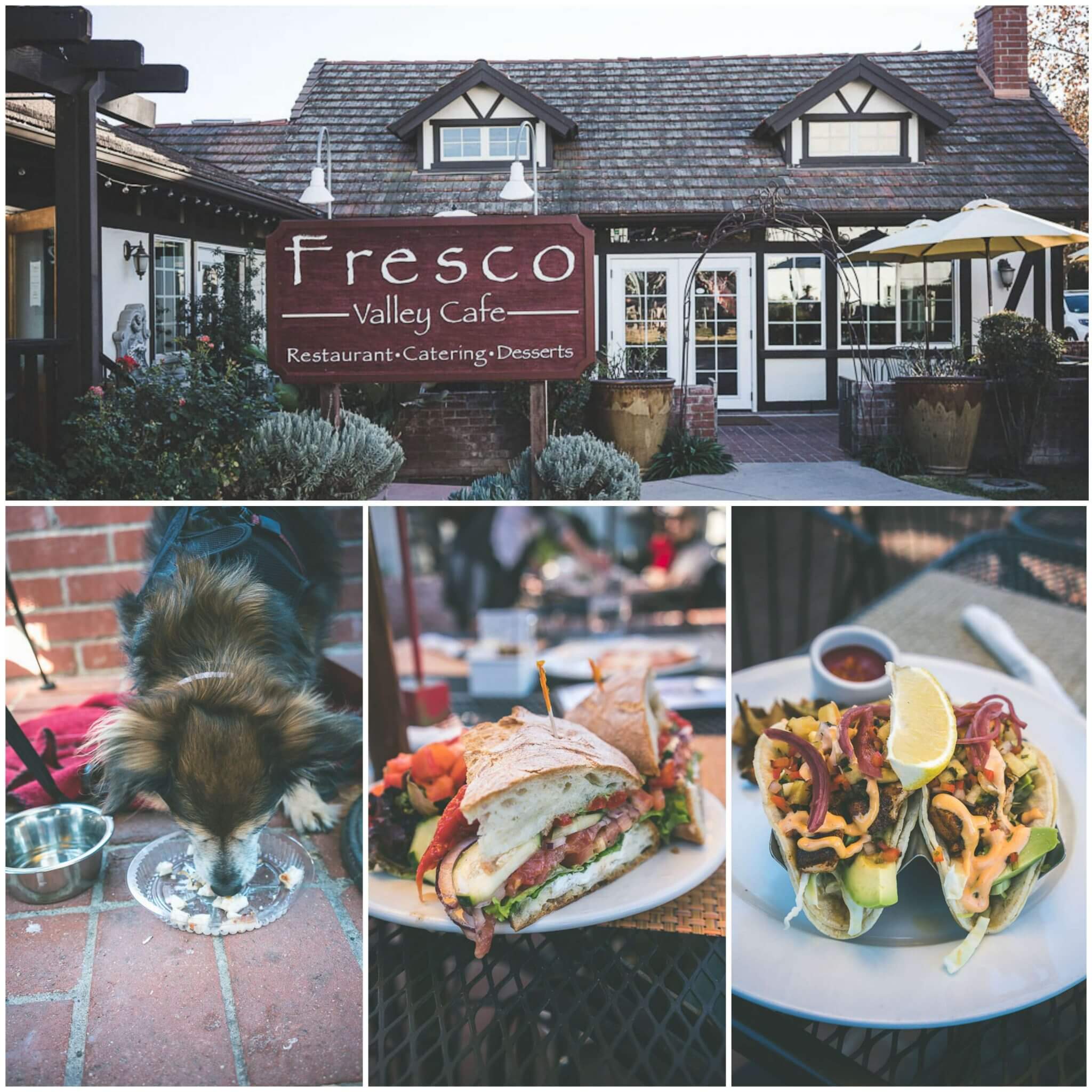 The perfect dog friendly Solvang guidewhere to stay, eat,play!