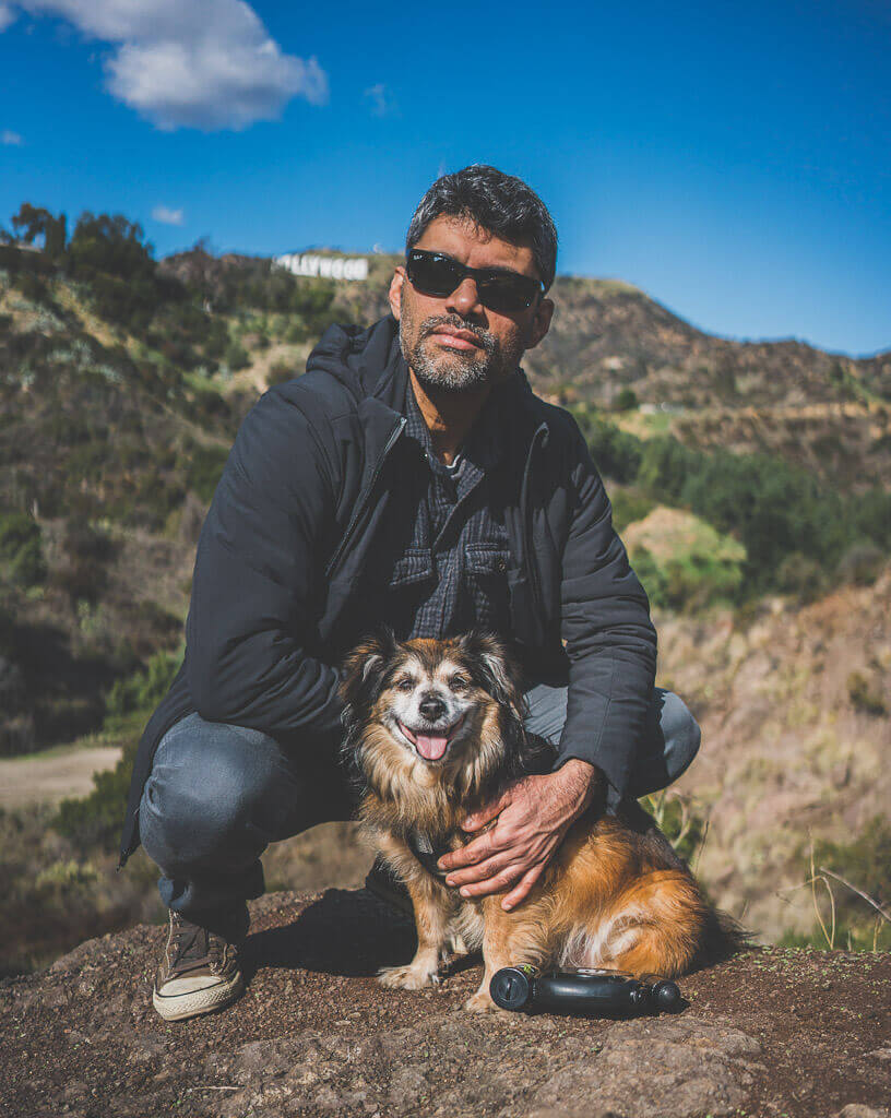 Dog friendly Los Angeles the best dog friendly activities in Los Angeles