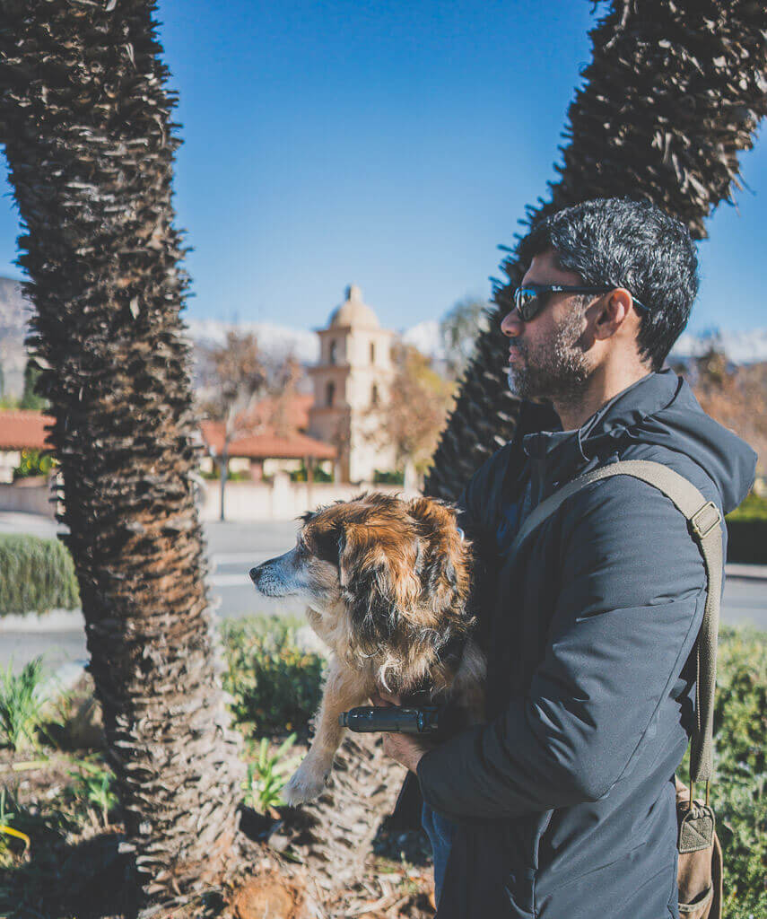 Dog friendly Los Angeles Top things to do in LA with your dog