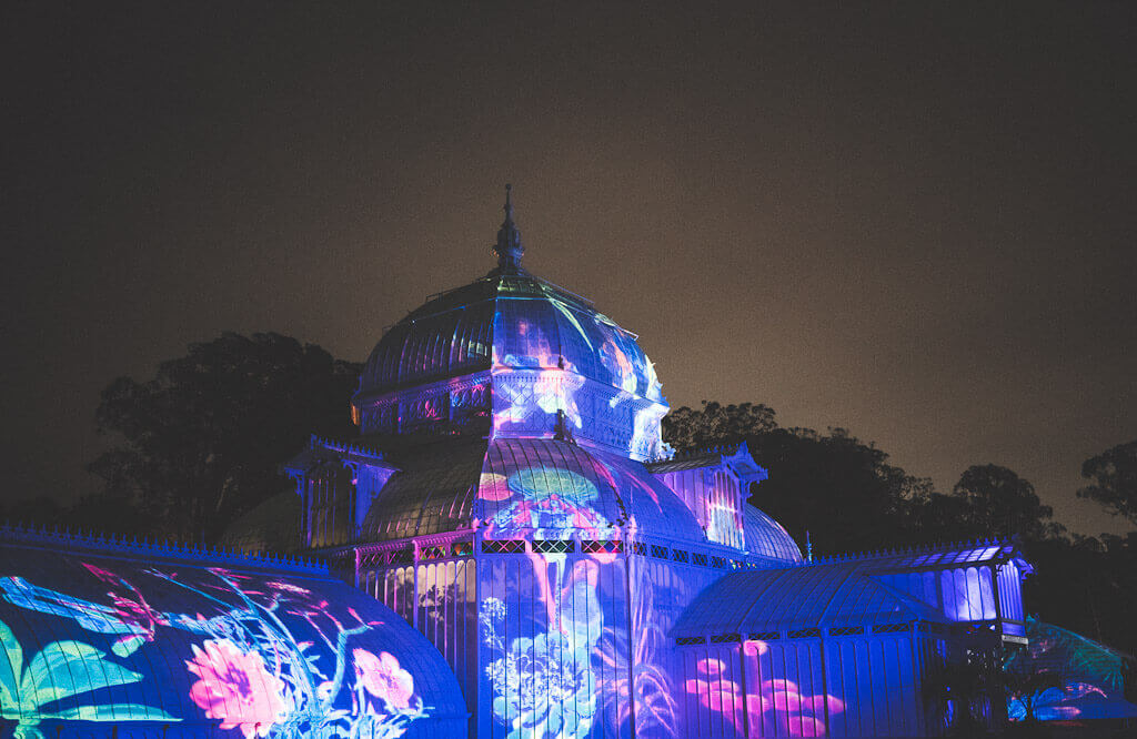 Where to find the best Christmas lights in San Francisco (2021)