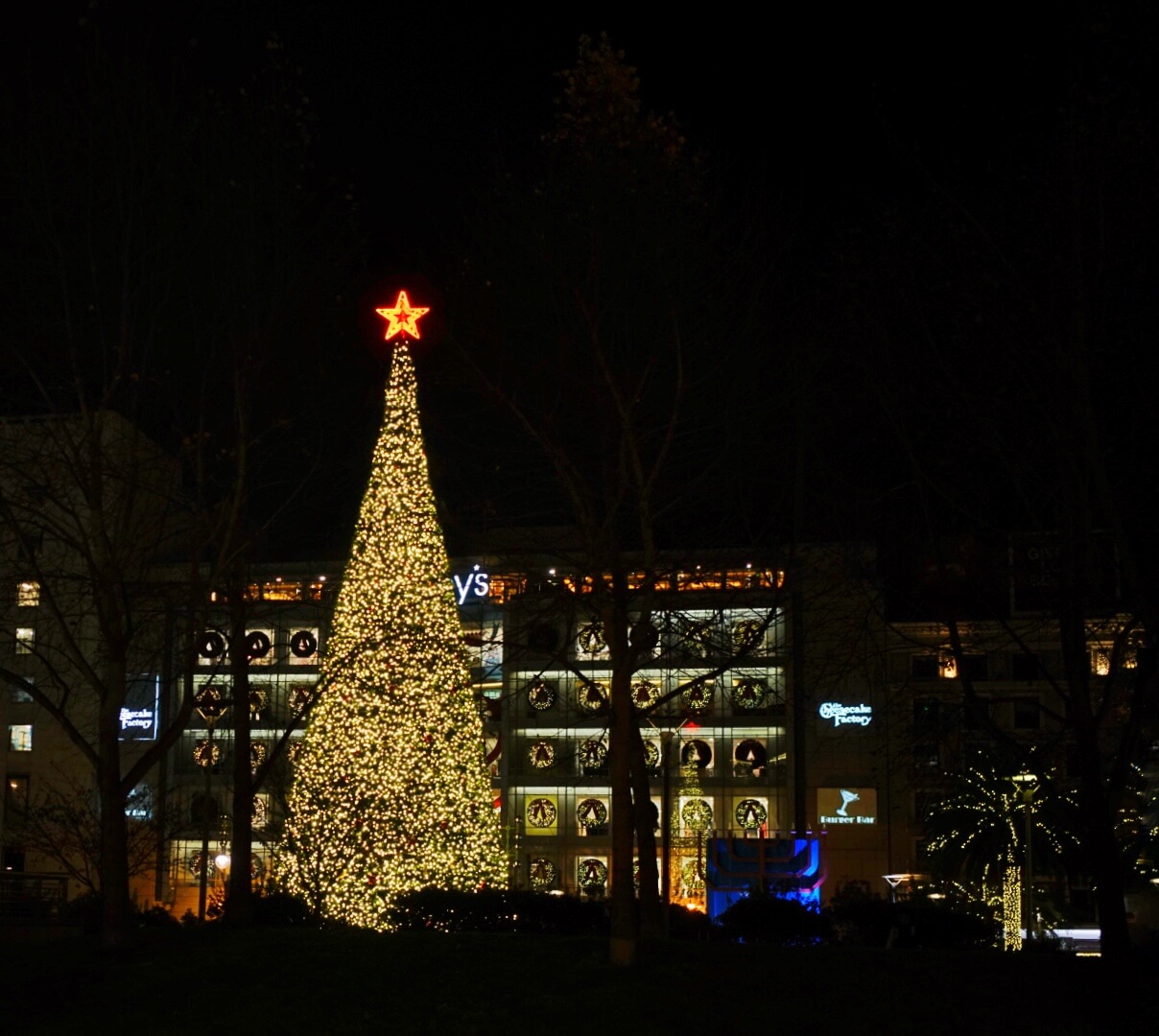 Where to find the best Christmas lights in San Francisco (2021)