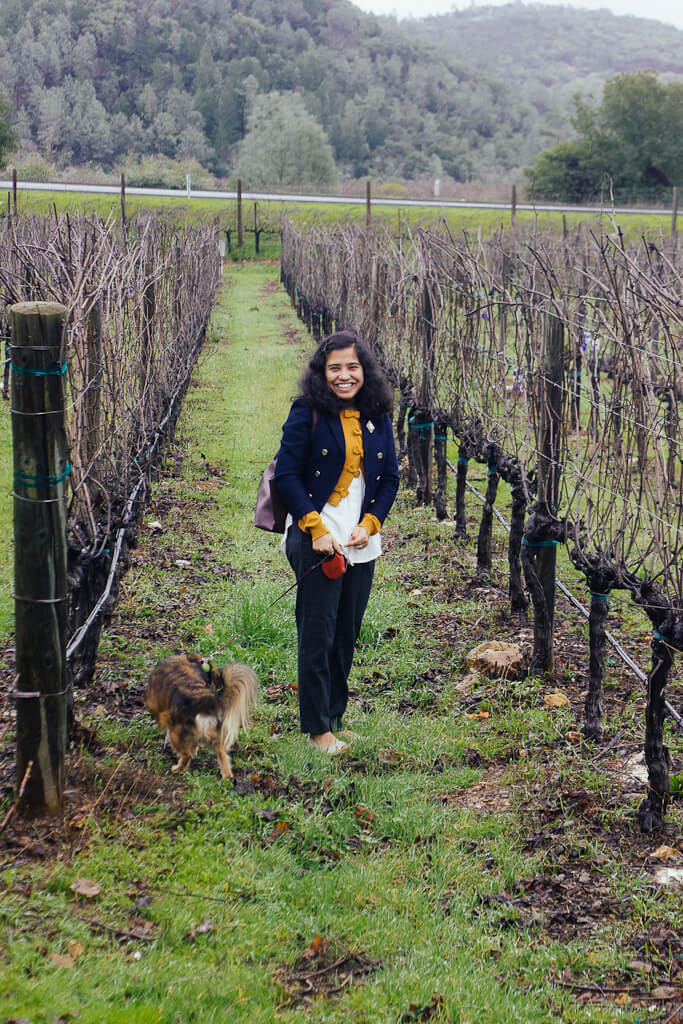 12 fantastic dog friendly wineries in Napa Valley for pet parents
